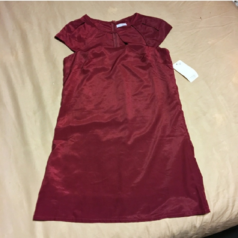 NWT Tobi Shift Dress